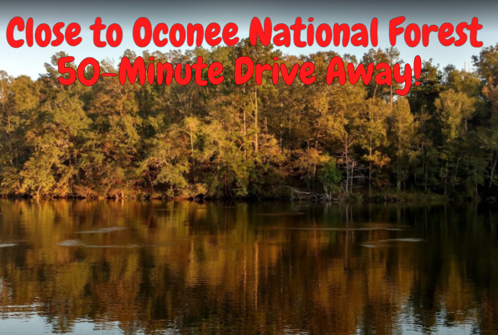 0.66 Acre Unrestricted Wooded Lot Just Steps Away from Lake Sinclair with Direct Access!! Just